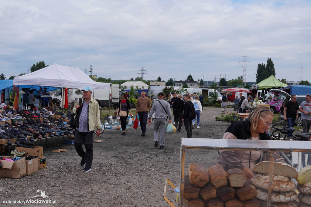 Pchli Targ we Włocławku - 13 lipca