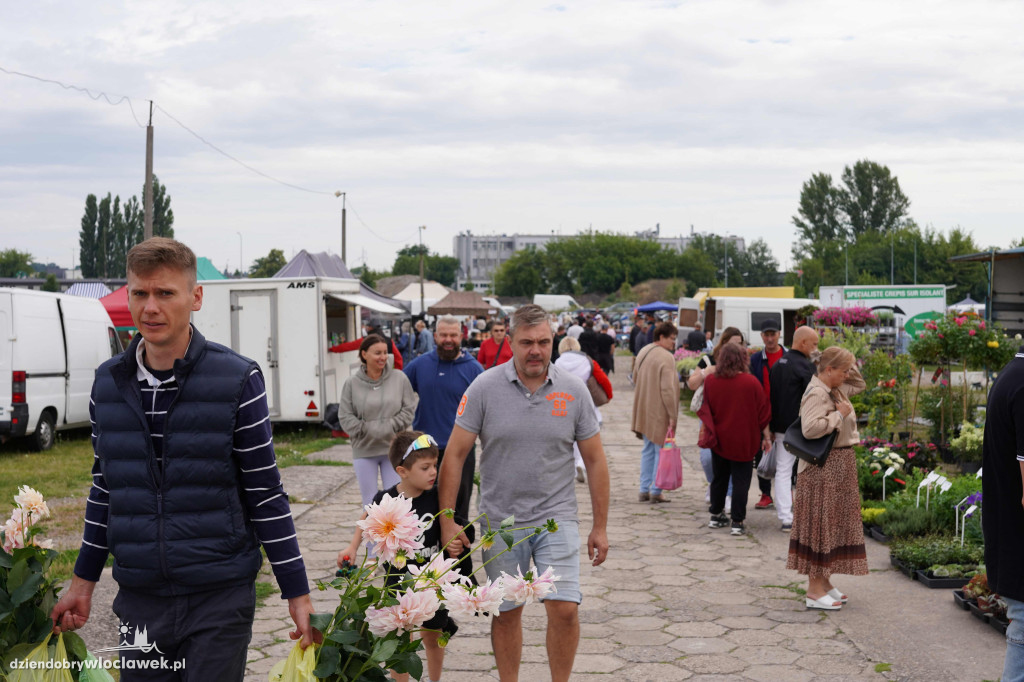 Pchli Targ we Włocławku - 13 lipca