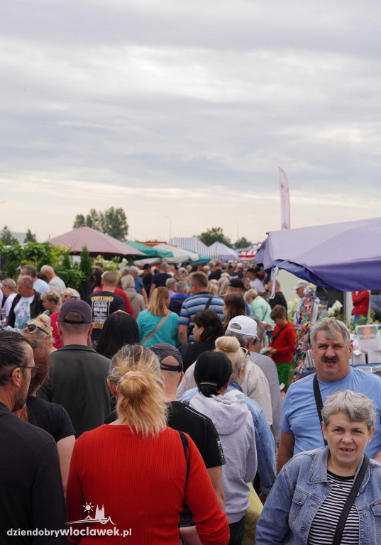 Pchli Targ we Włocławku - 13 lipca