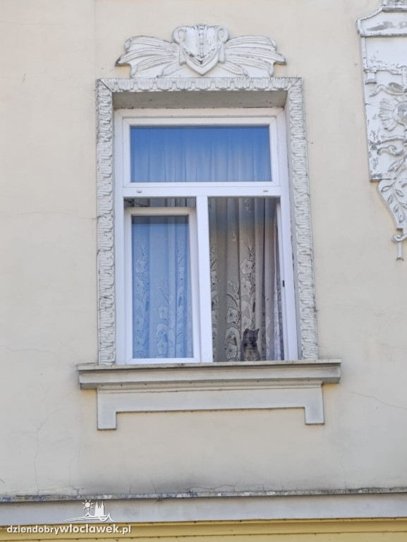 Spacer miejski z Łukaszem Daniewskim