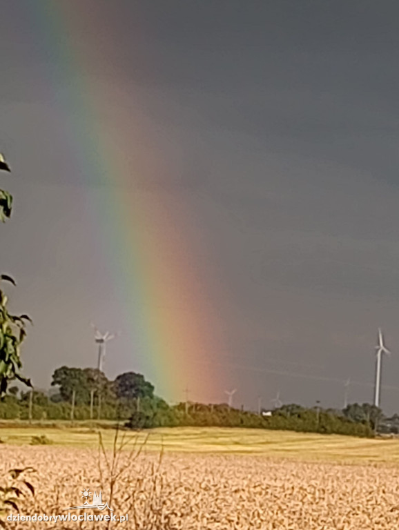 Tęcze nad Włocławkiem