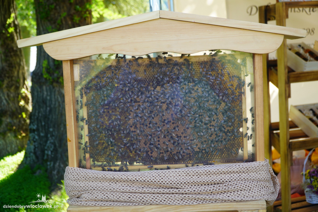 Miodowe Lato 2025 w Zarzeczewie