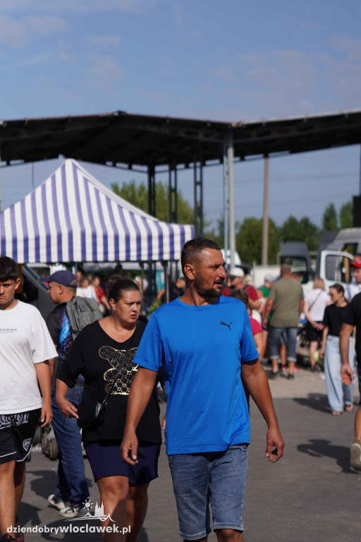Pchli Targ we Włocławku - 17 sierpnia 2025