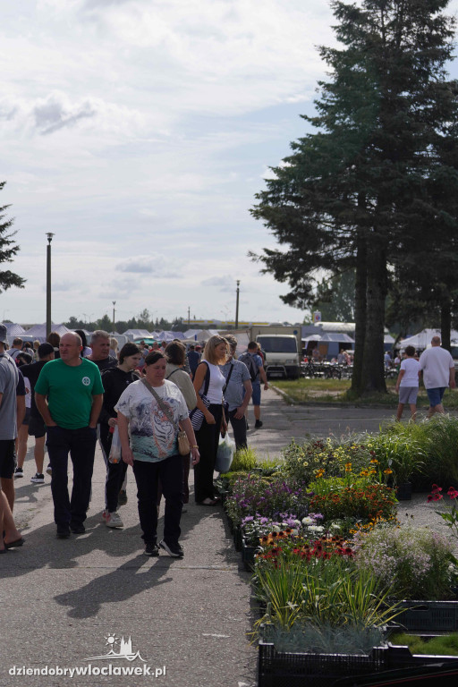Pchli Targ we Włocławku - 17 sierpnia 2025