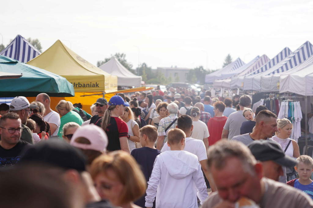 Pchli Targ we Włocławku - 17 sierpnia 2025