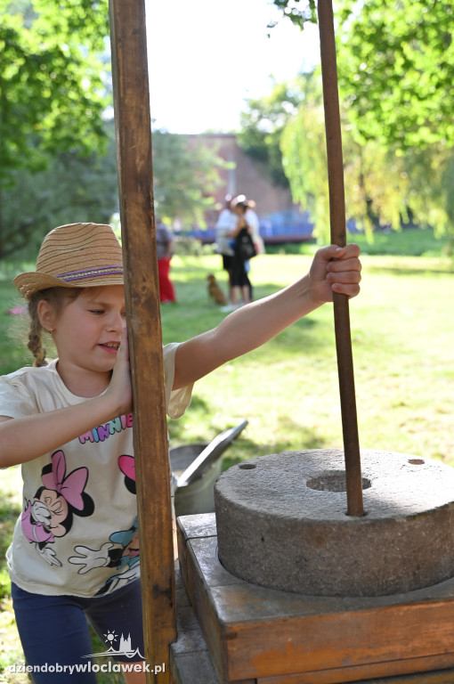 Piknik pod kujawskim niebem