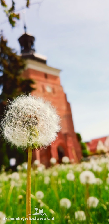Wasze kadry na Światowy Dzień Fotografii!