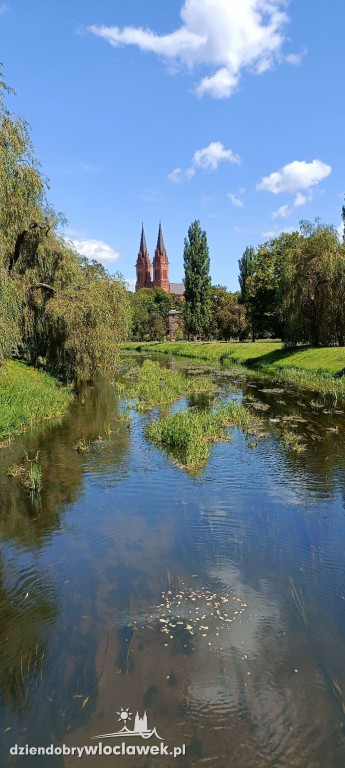 Wasze kadry na Światowy Dzień Fotografii!