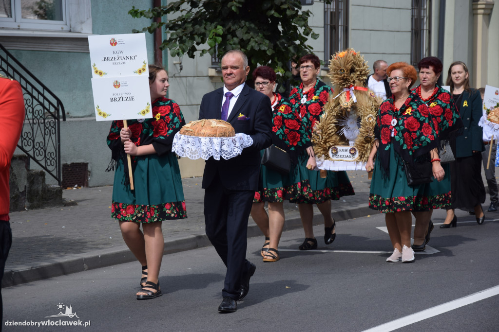 Dożynki w Brześciu Kujawskim - korowód i część obrzędowa