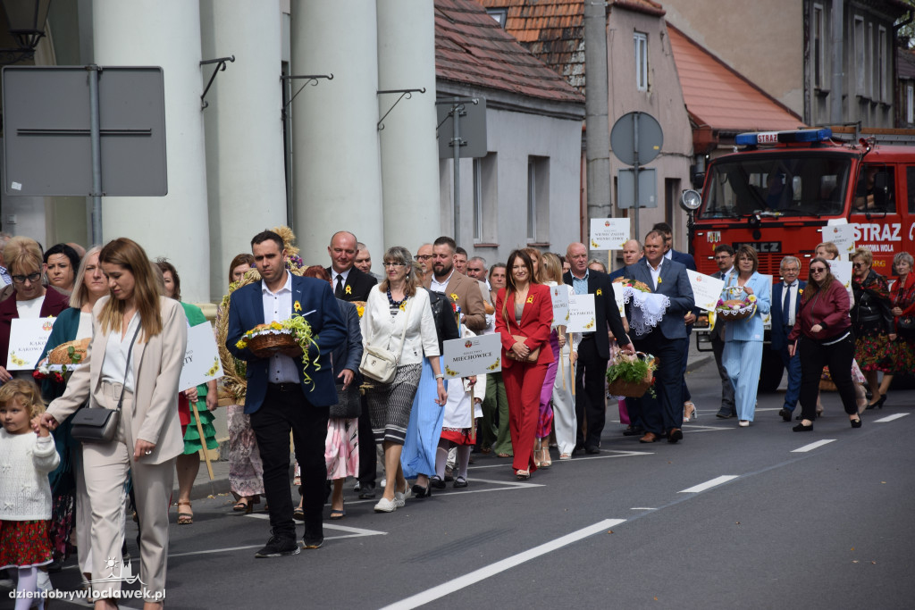 Dożynki w Brześciu Kujawskim - korowód i część obrzędowa