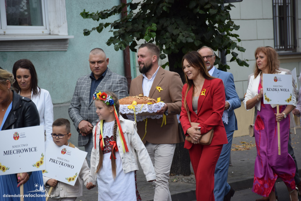 Dożynki w Brześciu Kujawskim - korowód i część obrzędowa