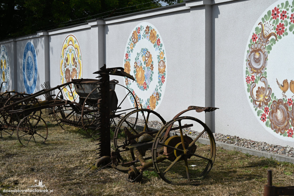 Piknik fajansowy we Włocławku