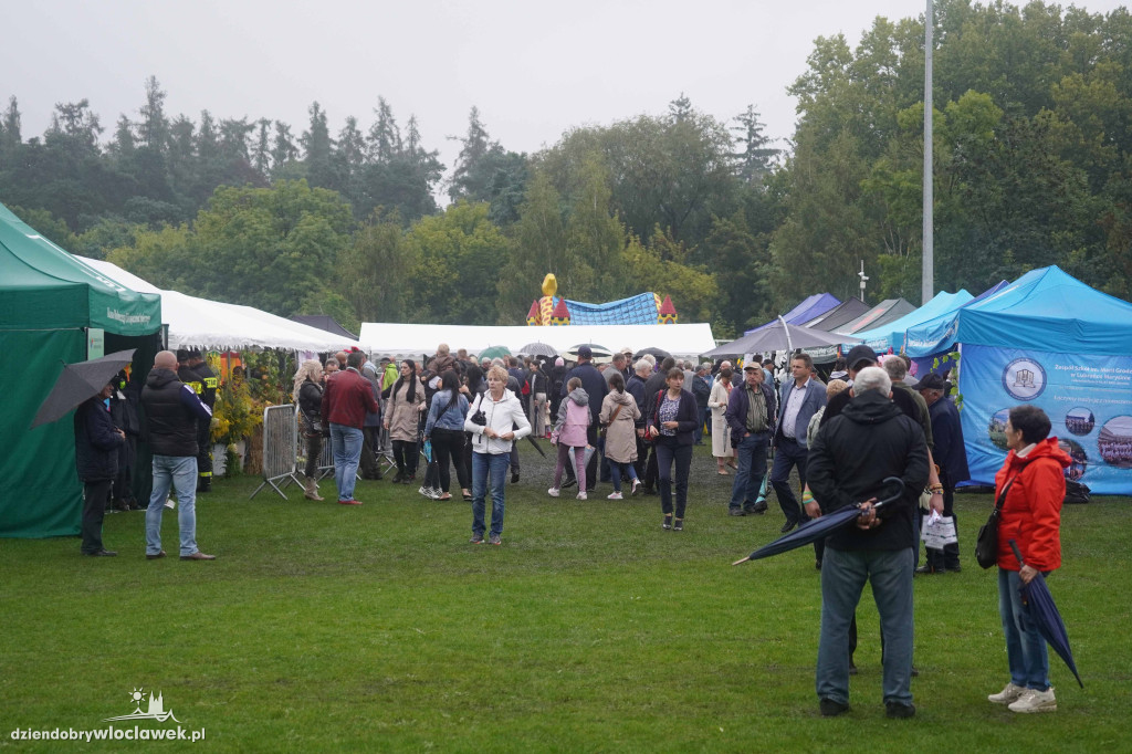 Lubraniec 2025: Święto czarniny – galeria FOTO
