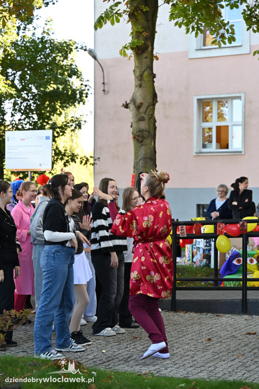 Pierogi w woku: kulinarna podróż w Chemiku