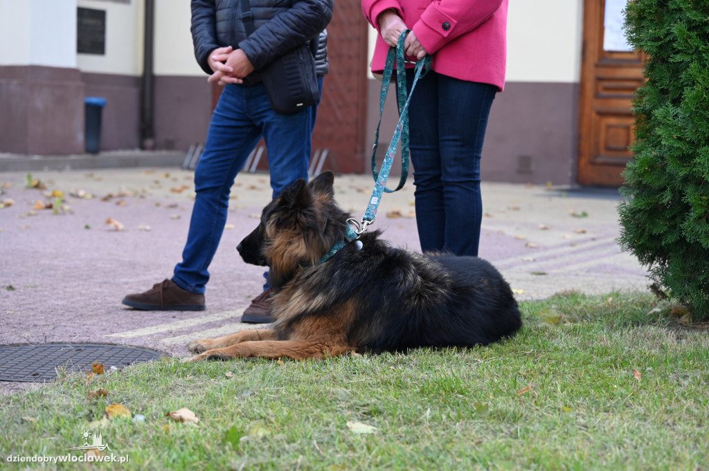 Błogosławieństwo zwierząt w Klasztorze