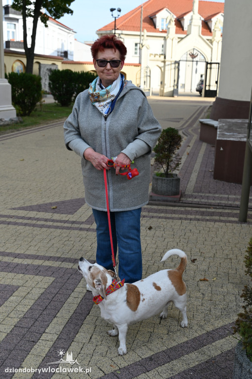 Błogosławieństwo zwierząt w Klasztorze