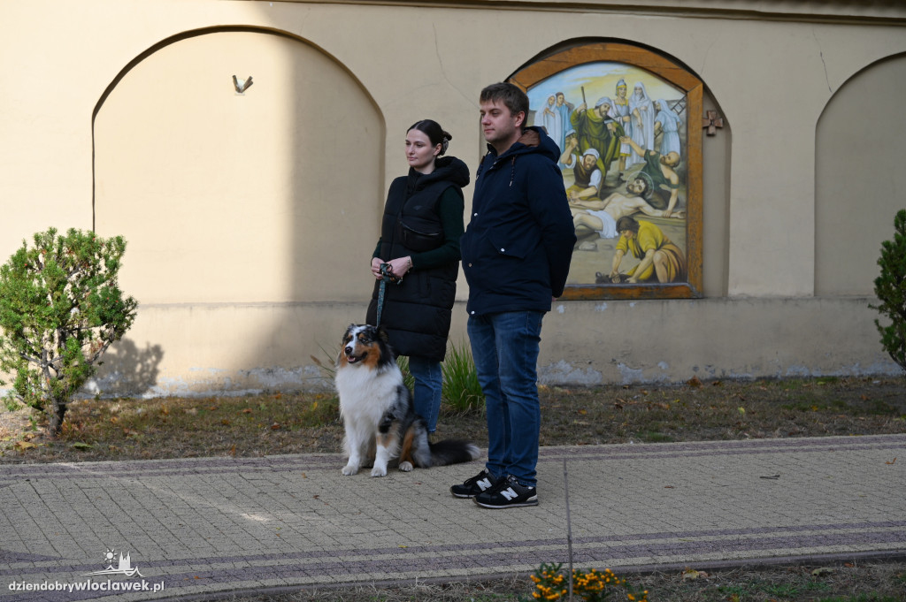 Błogosławieństwo zwierząt w Klasztorze