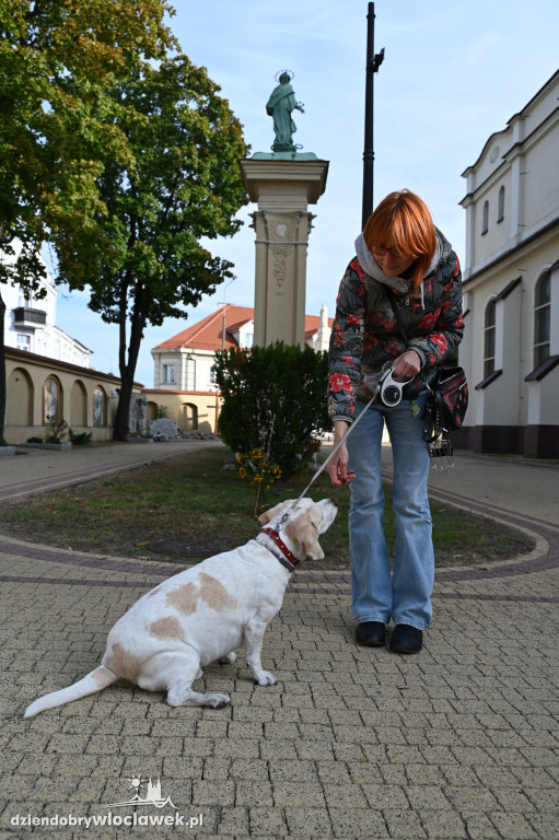 Błogosławieństwo zwierząt w Klasztorze