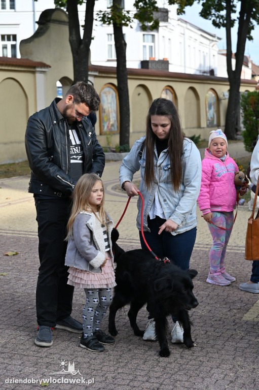 Błogosławieństwo zwierząt w Klasztorze