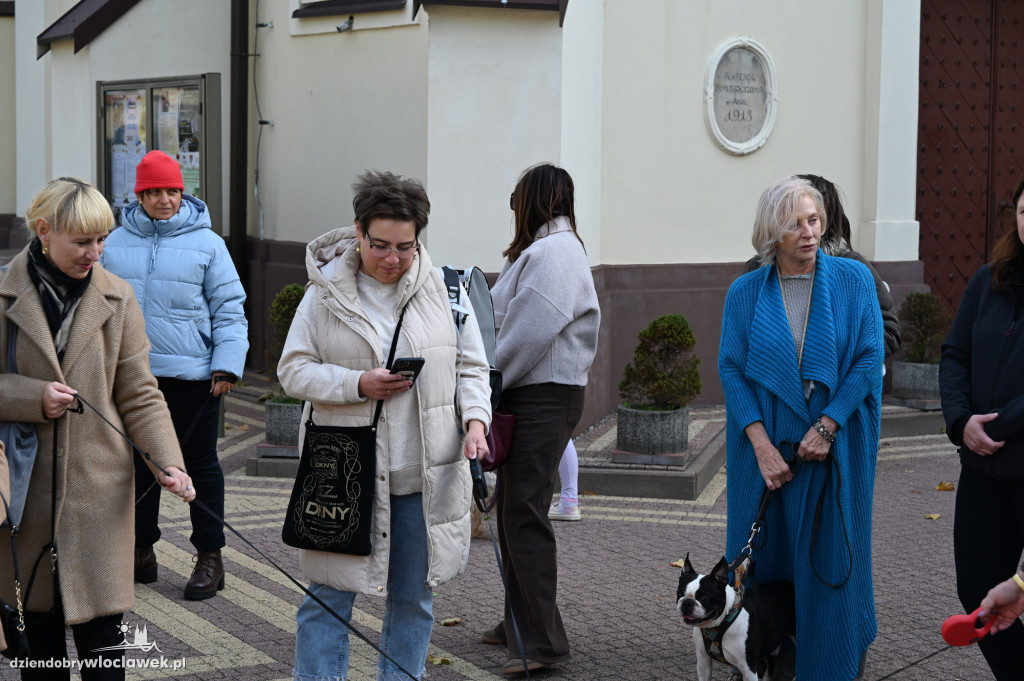 Błogosławieństwo zwierząt w Klasztorze