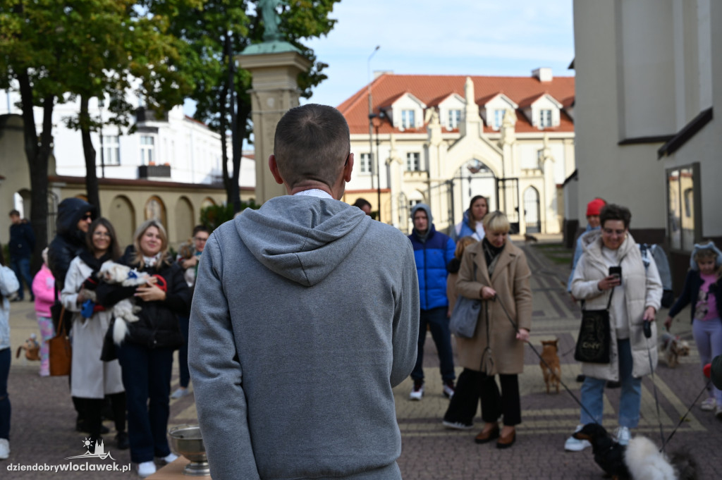 Błogosławieństwo zwierząt w Klasztorze