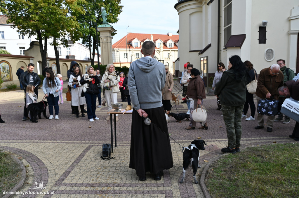 Błogosławieństwo zwierząt w Klasztorze