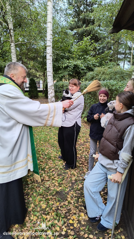 Błogosławieństwo zwierząt w Zbawicielu