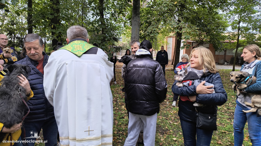 Błogosławieństwo zwierząt w Zbawicielu