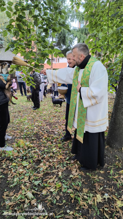 Błogosławieństwo zwierząt w Zbawicielu