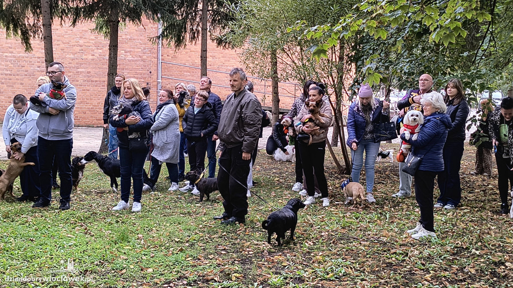 Błogosławieństwo zwierząt w Zbawicielu