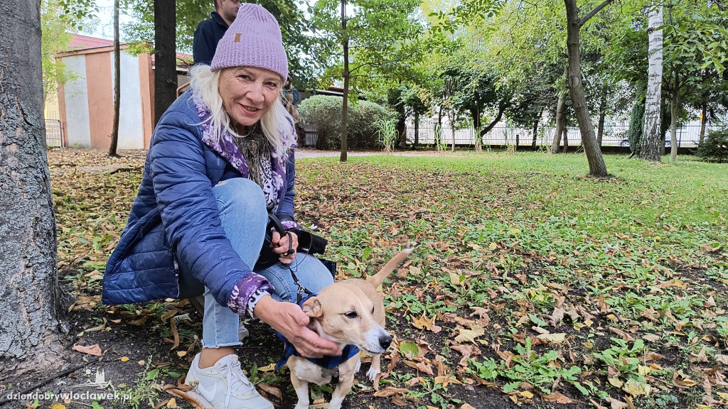 Błogosławieństwo zwierząt w Zbawicielu
