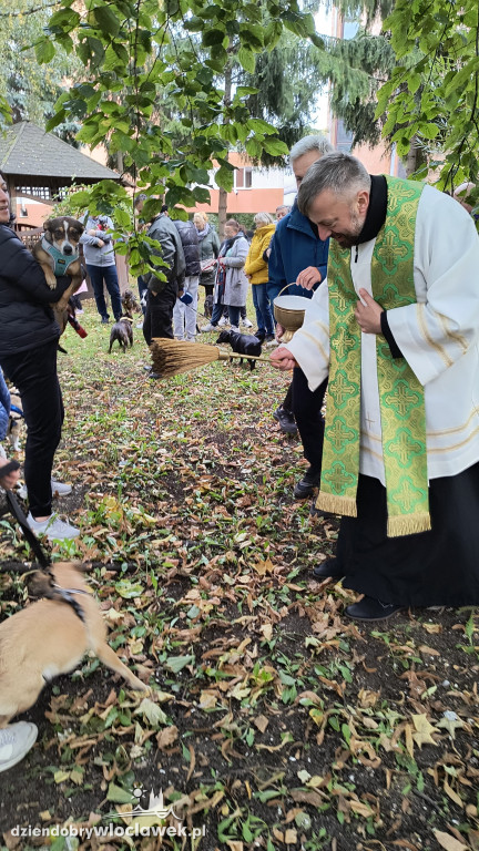 Błogosławieństwo zwierząt w Zbawicielu