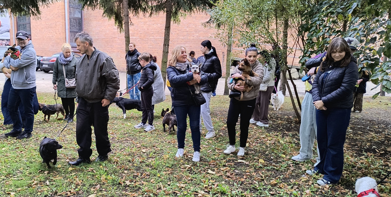 Błogosławieństwo zwierząt w Zbawicielu