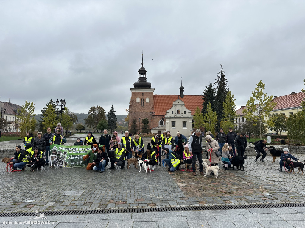 Przemarsz adopciaków z włocławskiego schroniska