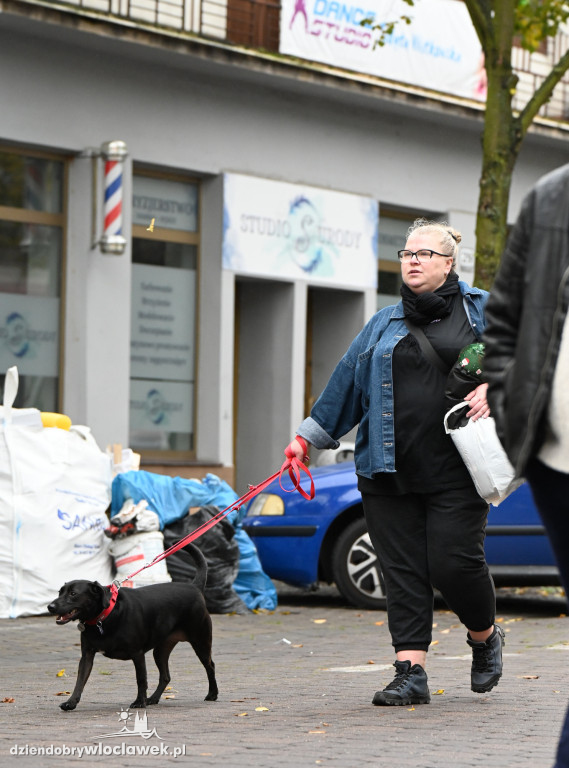 Przemarsz adopciaków z włocławskiego schroniska