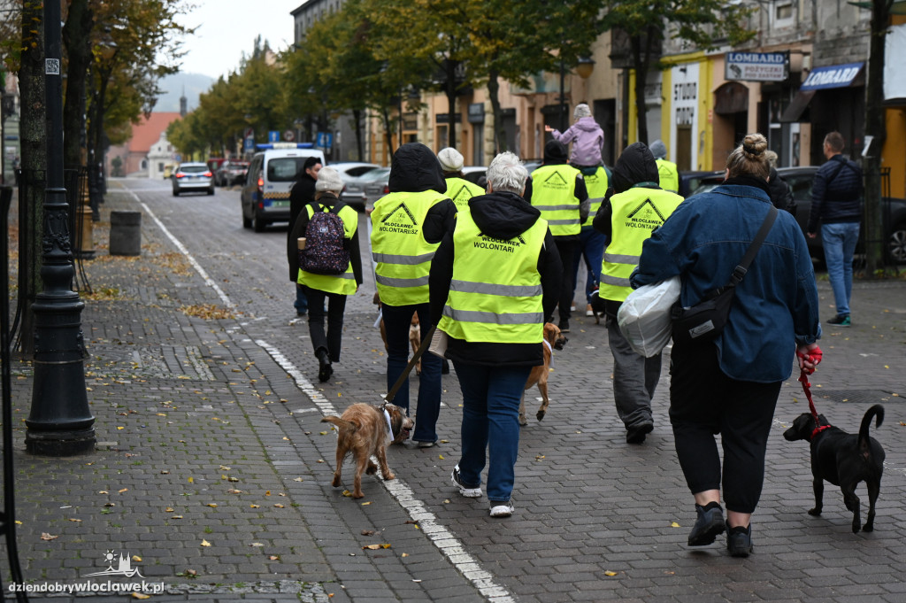 Przemarsz adopciaków z włocławskiego schroniska