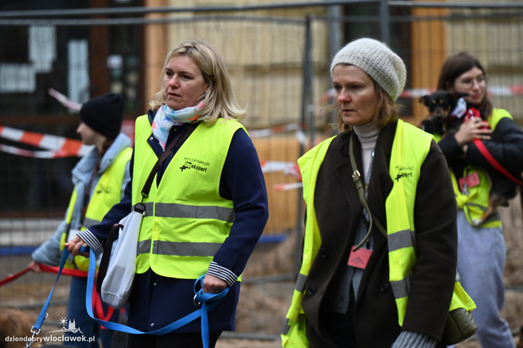 Przemarsz adopciaków z włocławskiego schroniska