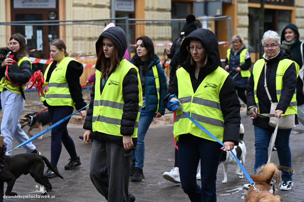 Przemarsz adopciaków z włocławskiego schroniska