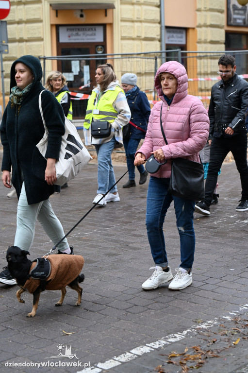 Przemarsz adopciaków z włocławskiego schroniska