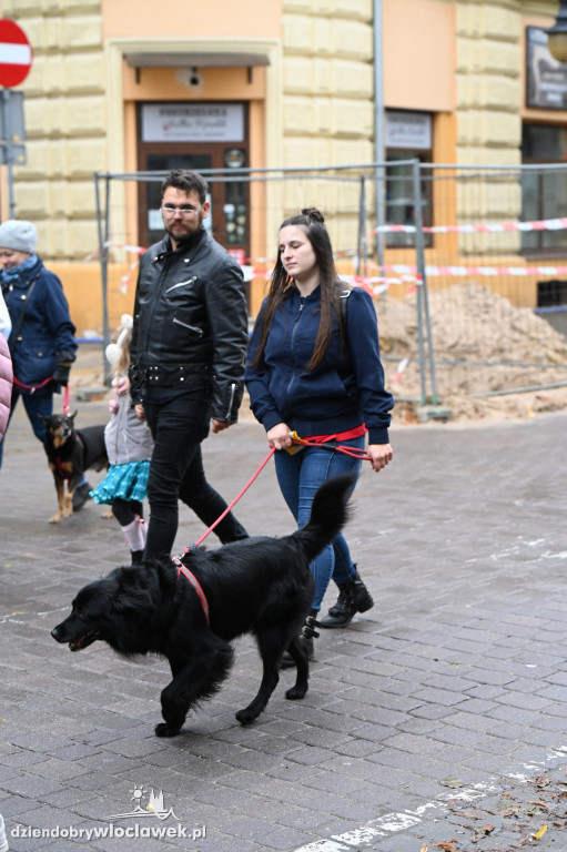 Przemarsz adopciaków z włocławskiego schroniska