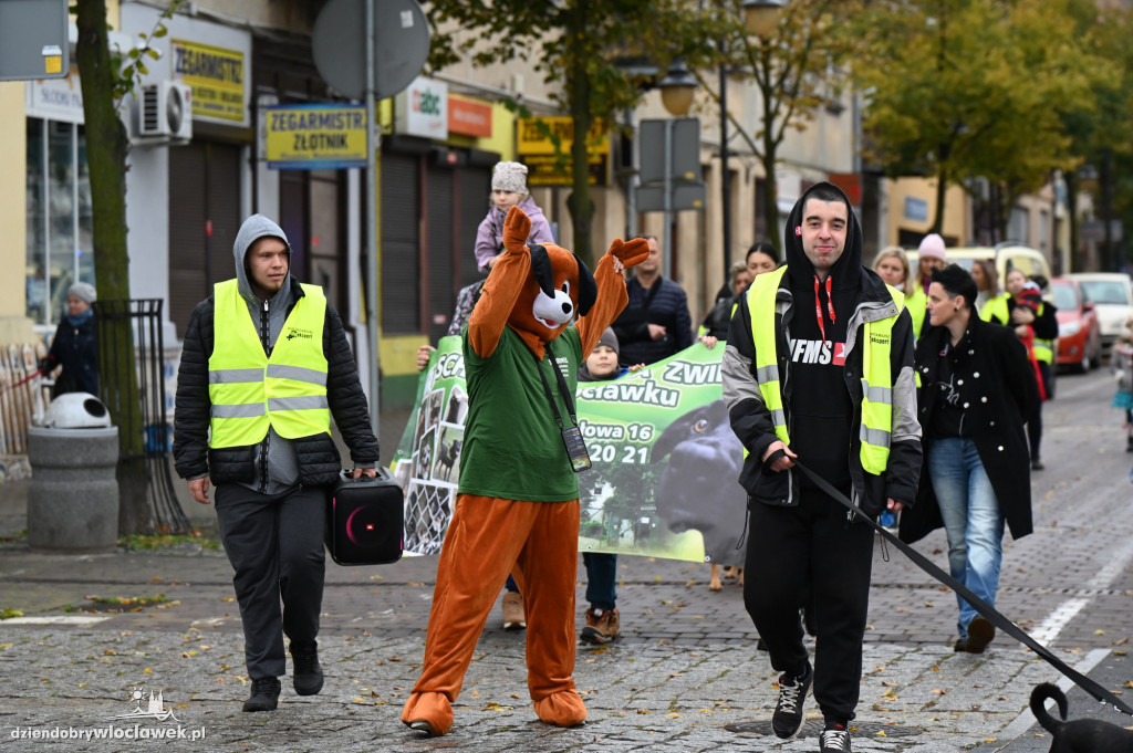 Przemarsz adopciaków z włocławskiego schroniska