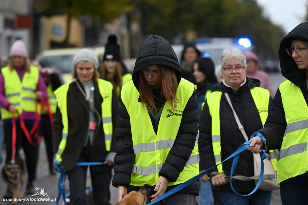 Przemarsz adopciaków z włocławskiego schroniska