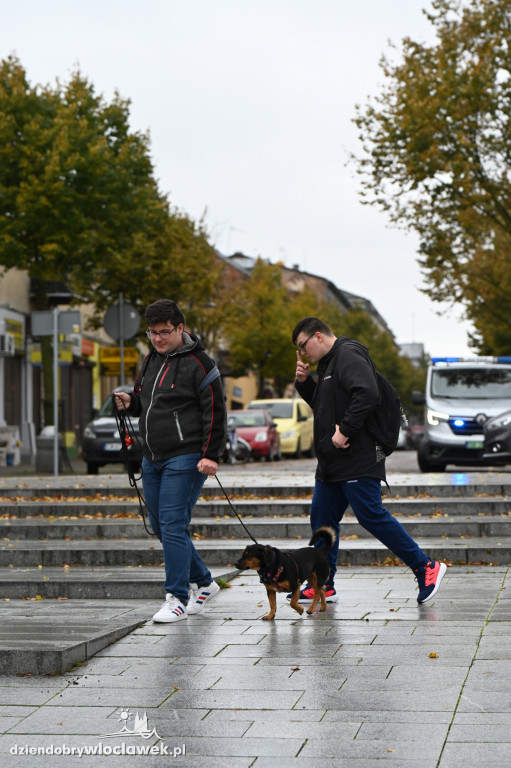 Przemarsz adopciaków z włocławskiego schroniska