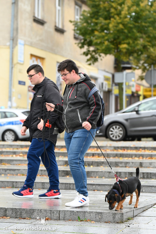 Przemarsz adopciaków z włocławskiego schroniska