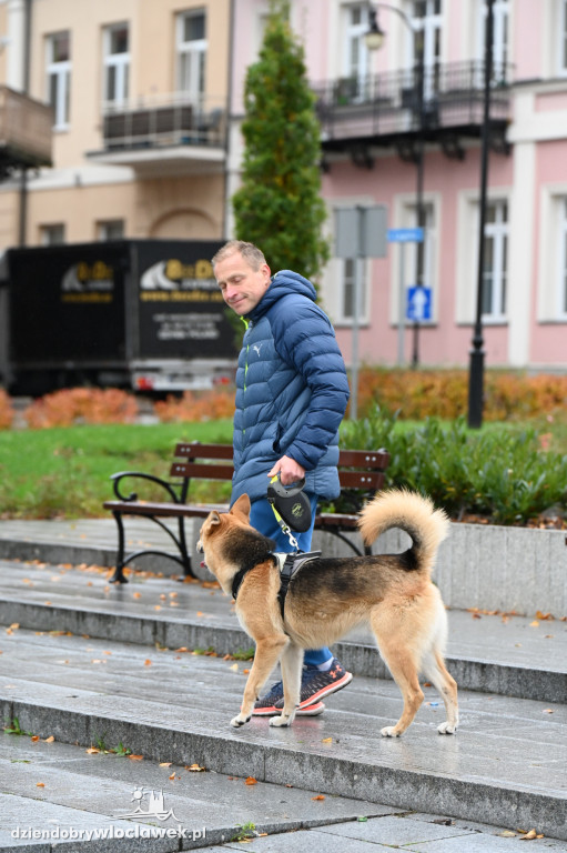 Przemarsz adopciaków z włocławskiego schroniska