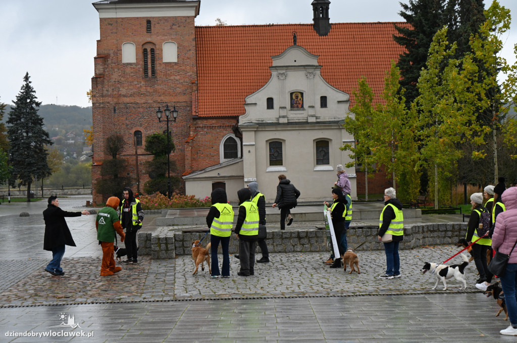 Przemarsz adopciaków z włocławskiego schroniska