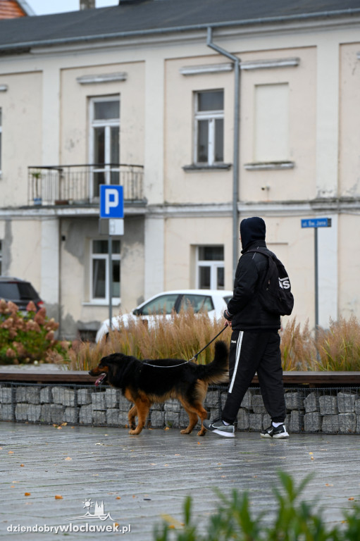 Przemarsz adopciaków z włocławskiego schroniska