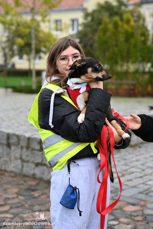 Przemarsz adopciaków z włocławskiego schroniska
