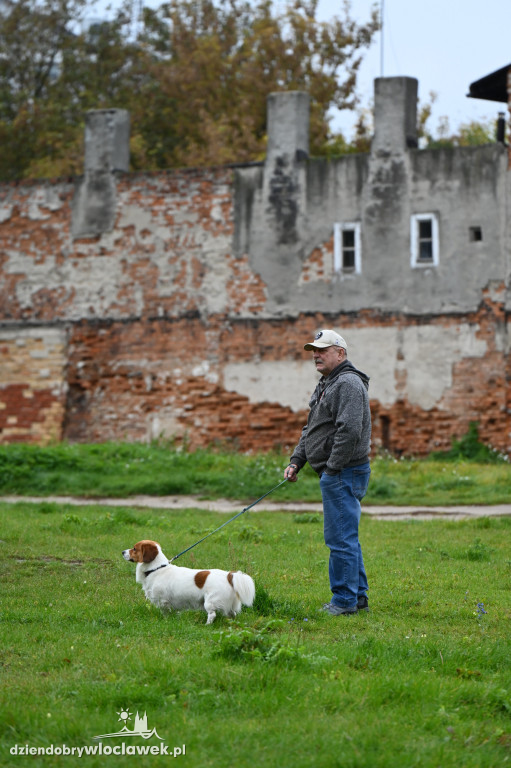 Przemarsz adopciaków z włocławskiego schroniska