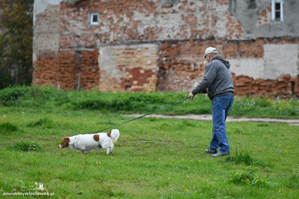 Przemarsz adopciaków z włocławskiego schroniska
